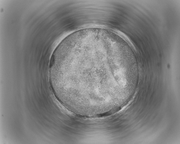 X0000070401244200607072236