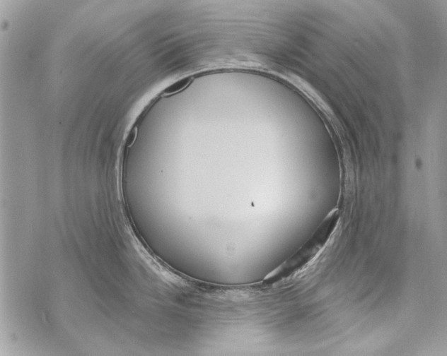 X0000070401246200607072236