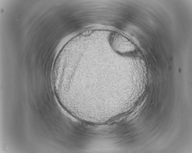 X0000070401247200607072236