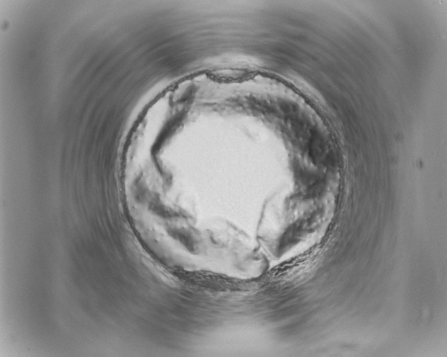 X0000070401248200607072236