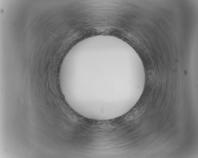 X0000070401249200607072235