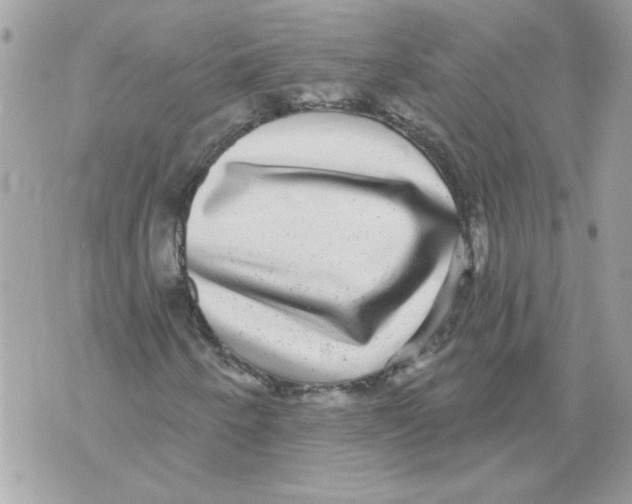 X0000070401250200607072235