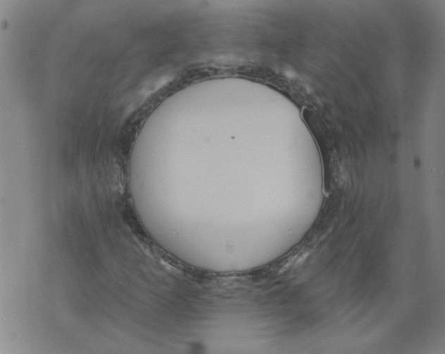 X0000070401253200607072235