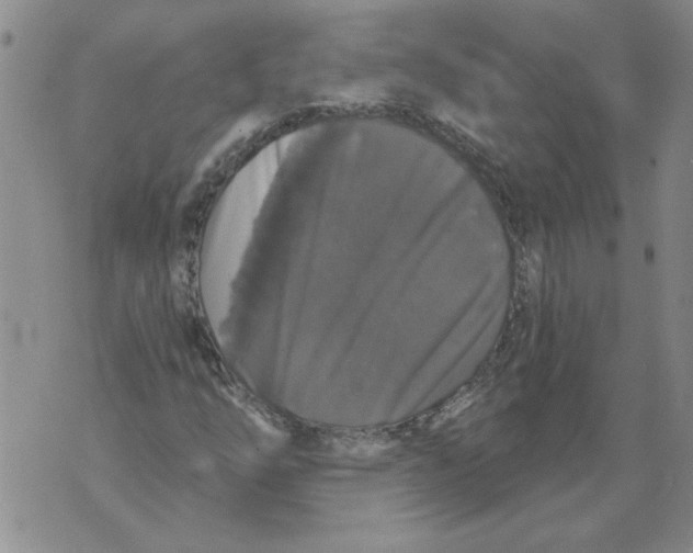 X0000070401254200607072235