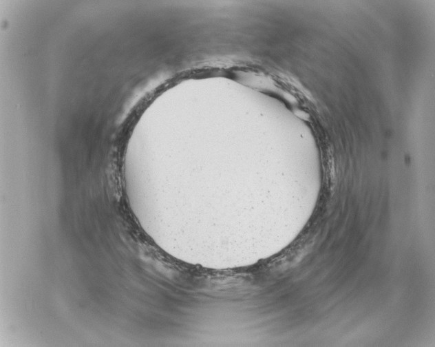 X0000070401256200607072235