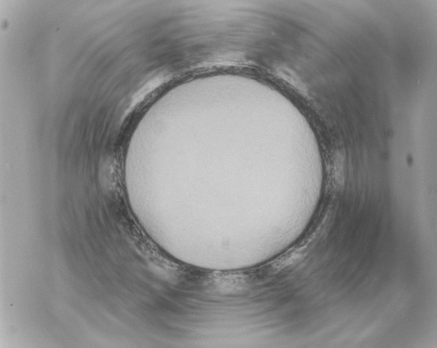 X0000070401258200607072235