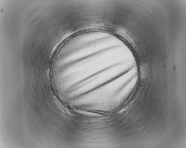 X0000070401260200607072235