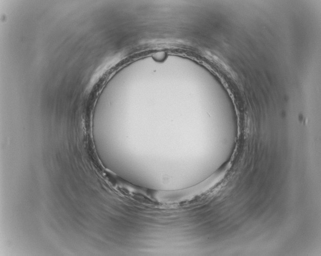 X0000070401261200607072235