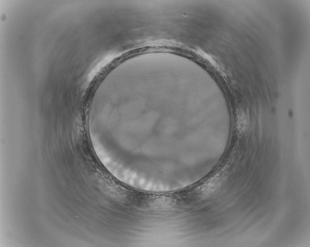 X0000070401263200607072235