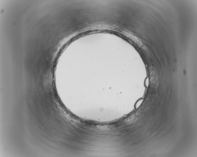 X0000070401264200607072235