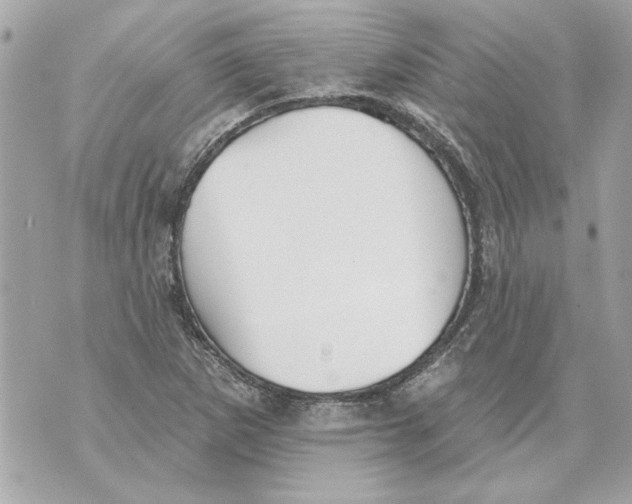 X0000070401265200607072235