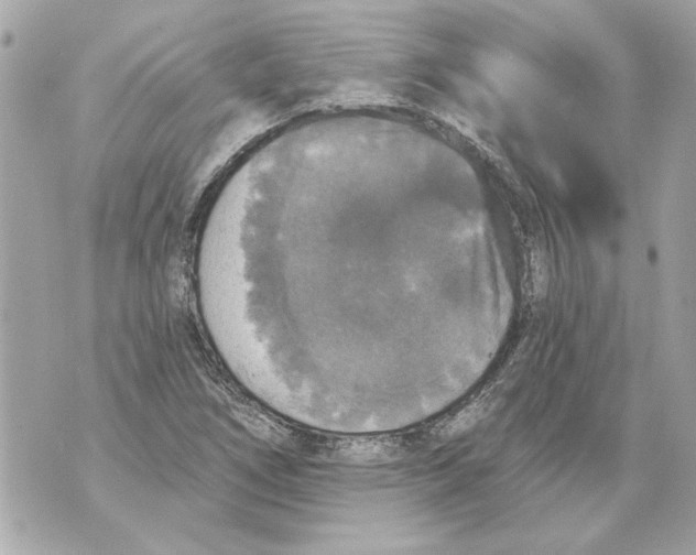 X0000070401266200607072235