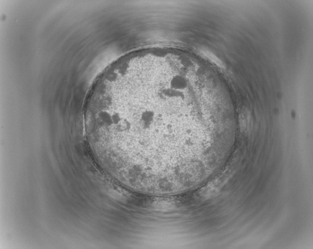 X0000070401267200607072235