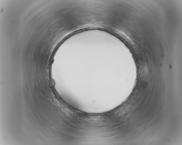 X0000070401268200607072235