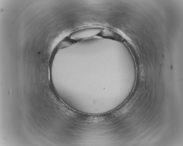 X0000070401269200607072235