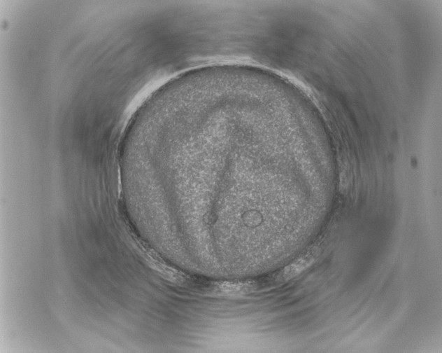 X0000070401271200607072235