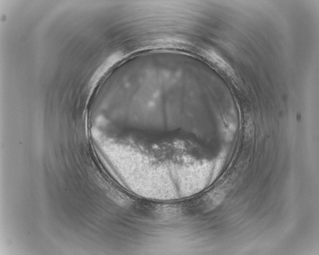 X0000070401275200607072235