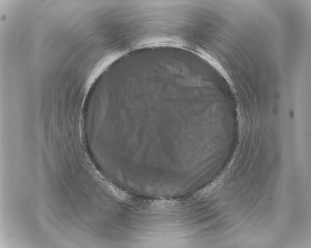 X0000070401277200607072235