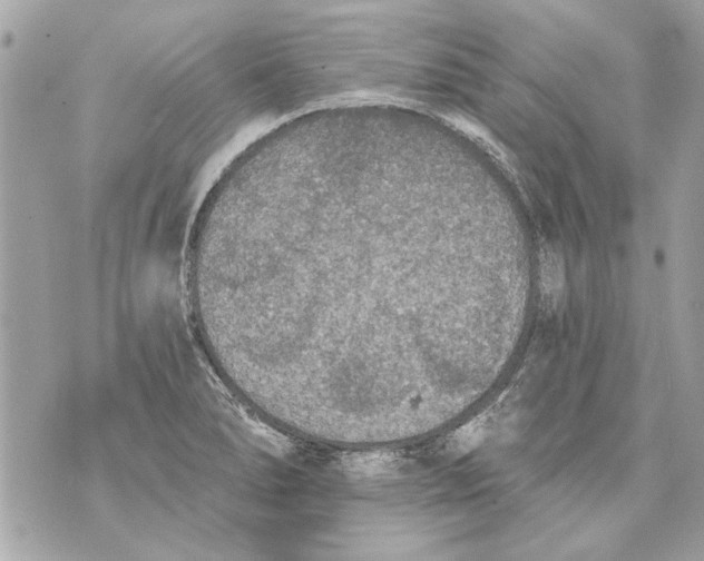 X0000070401278200607072235