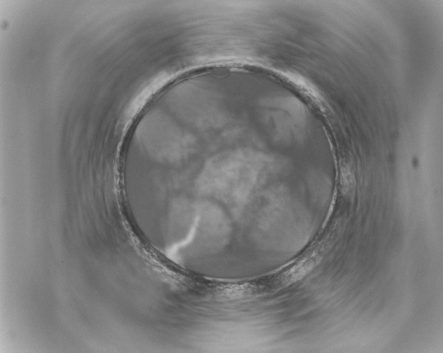 X0000070401279200607072235