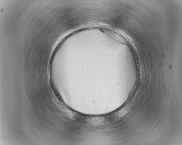 X0000070401280200607072235