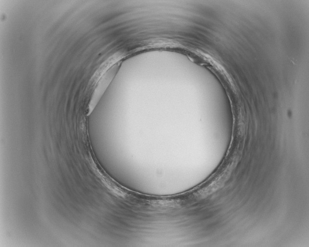 X0000070401281200607072235