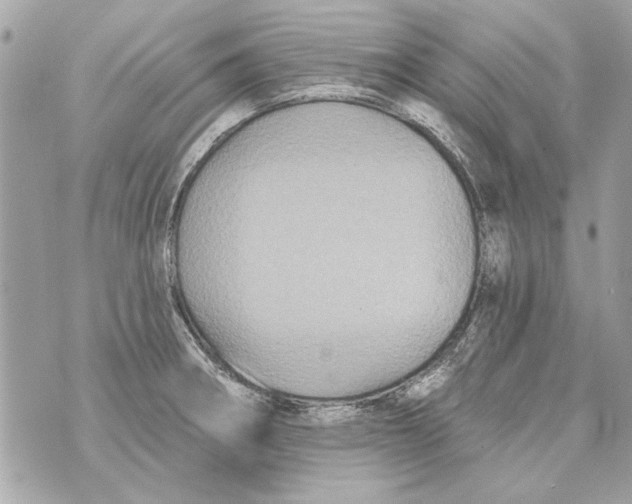 X0000070401282200607072235