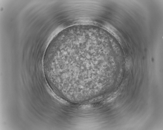 X0000070401283200607072235