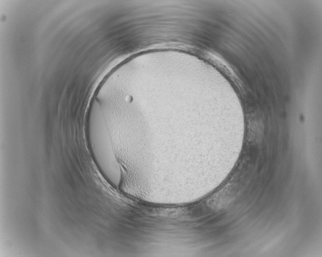 X0000070401284200607072235