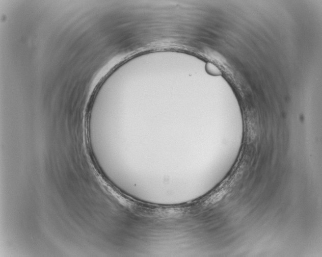 X0000070401286200607072235