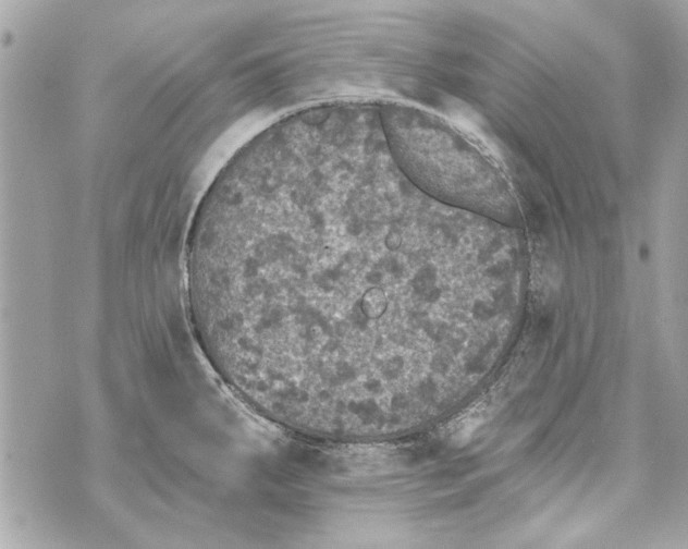 X0000070401287200607072235