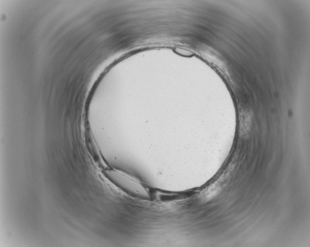 X0000070401288200607072235