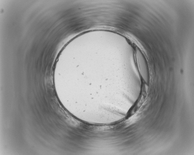 X0000070401292200607072235