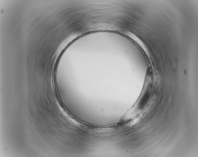 X0000070401293200607072235