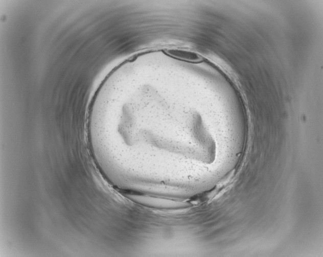 X0000070401296200607072235