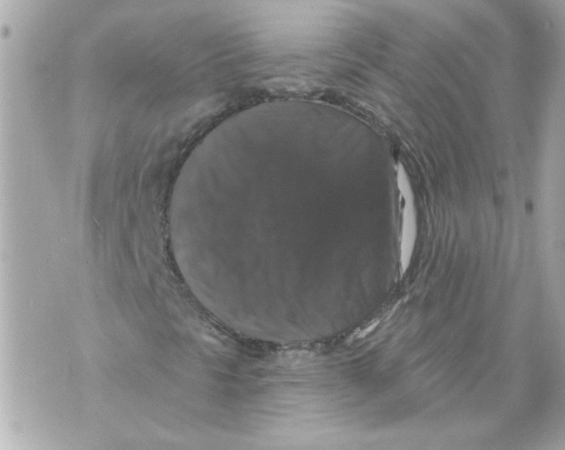 X0000070401297200607072234