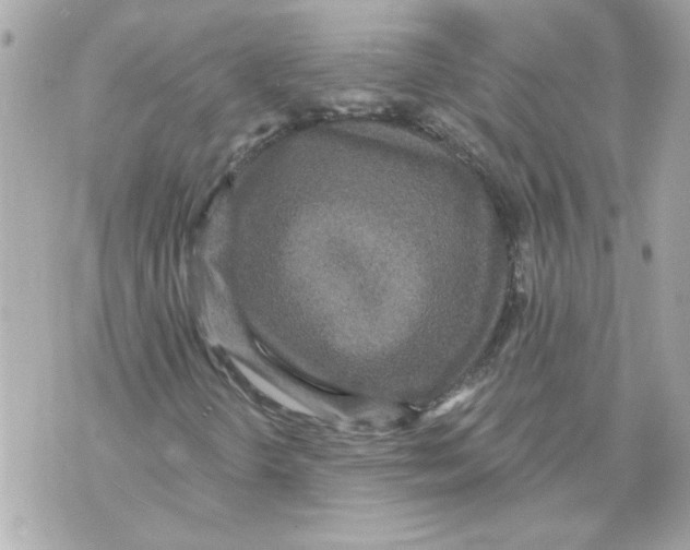 X0000070401298200607072234