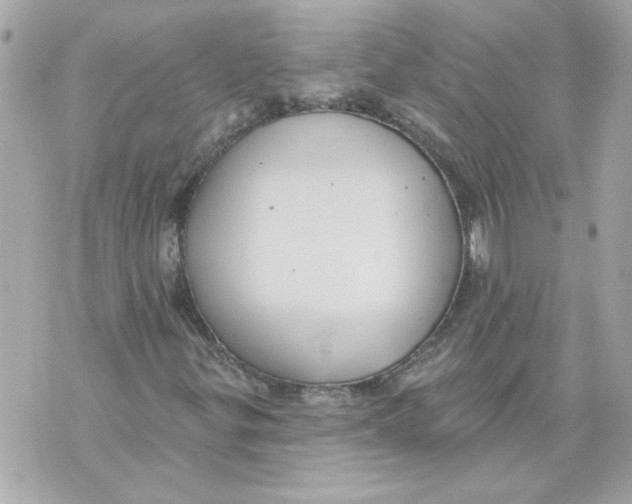 X0000070401299200607072234