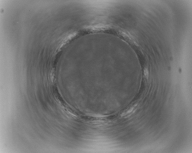 X0000070401300200607072234