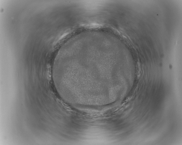 X0000070401301200607072234