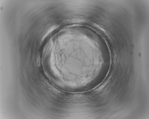 X0000070401306200607072234