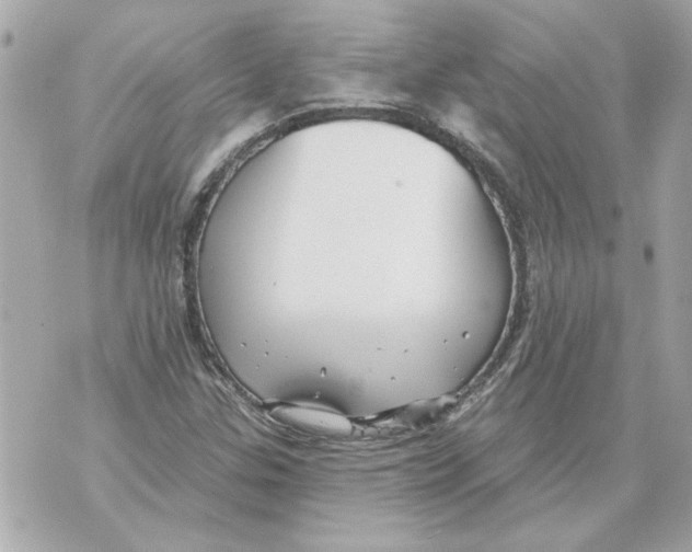 X0000070401307200607072234