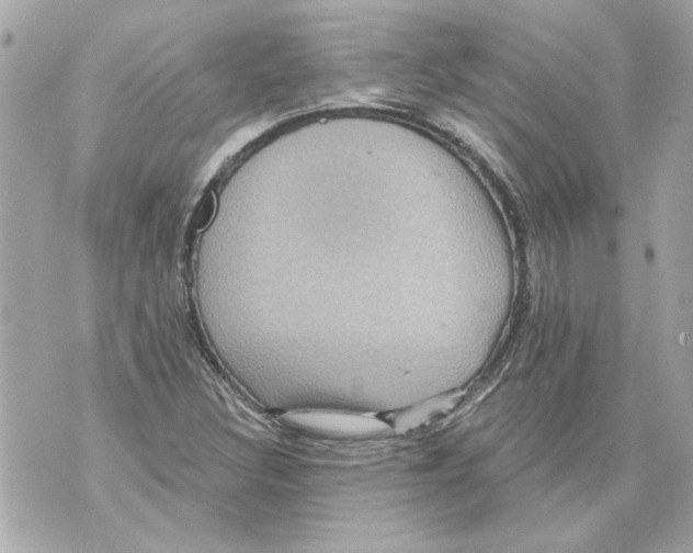 X0000070401308200607072234