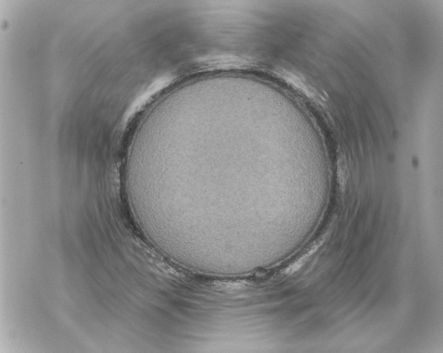 X0000070401309200607072234