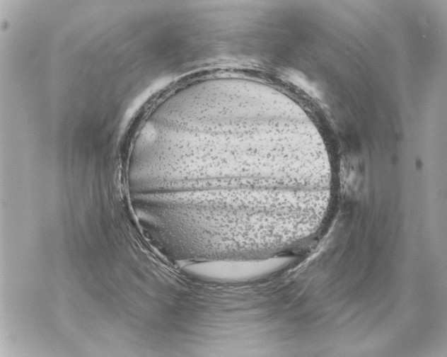 X0000070401310200607072234