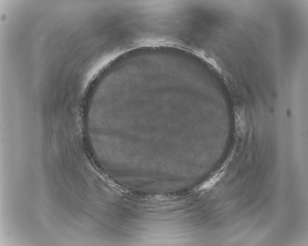 X0000070401311200607072234