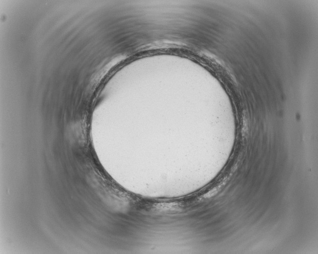 X0000070401313200607072234