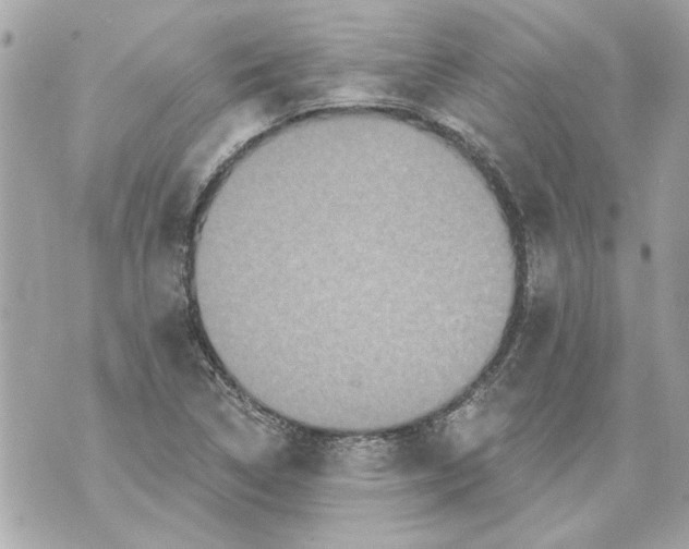 X0000070401314200607072234