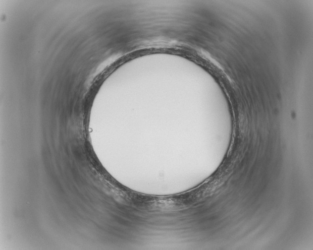 X0000070401315200607072234