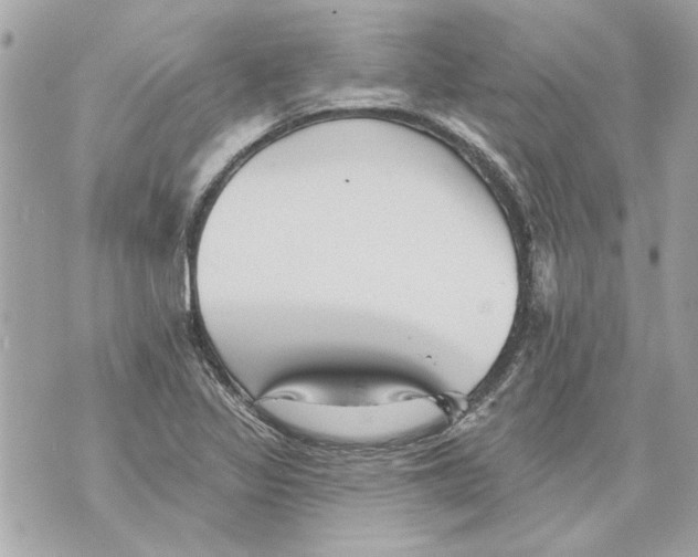 X0000070401317200607072234